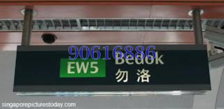 Blk 424 Bedok North Avenue 1 (Bedok), HDB 3 Rooms #133894322